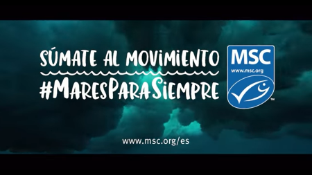 Pesca Sostenible: Súmate al movimiento Mares Para Siempre